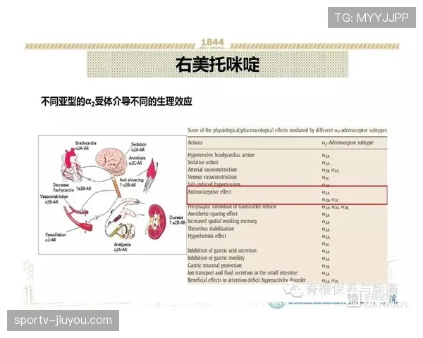 维尔茨与帕尔默:数据型中场的效率机制与参与模式对比 维尔茨与帕尔默:数据型中场的效率机制与参与模式对比